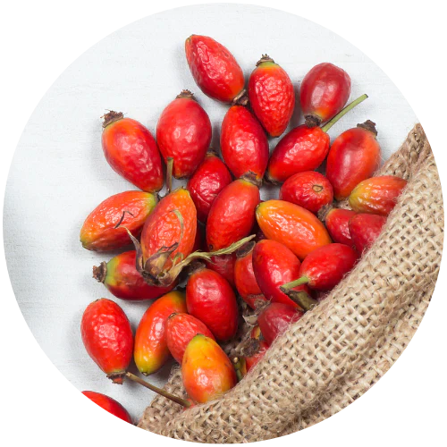 Rosehip Seed Oil