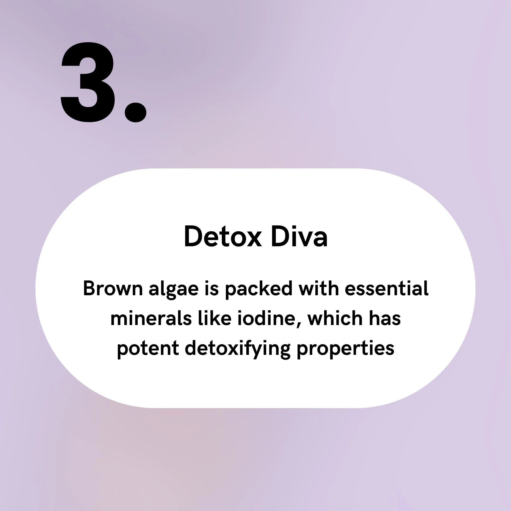 Brown Algae - Detox Diva