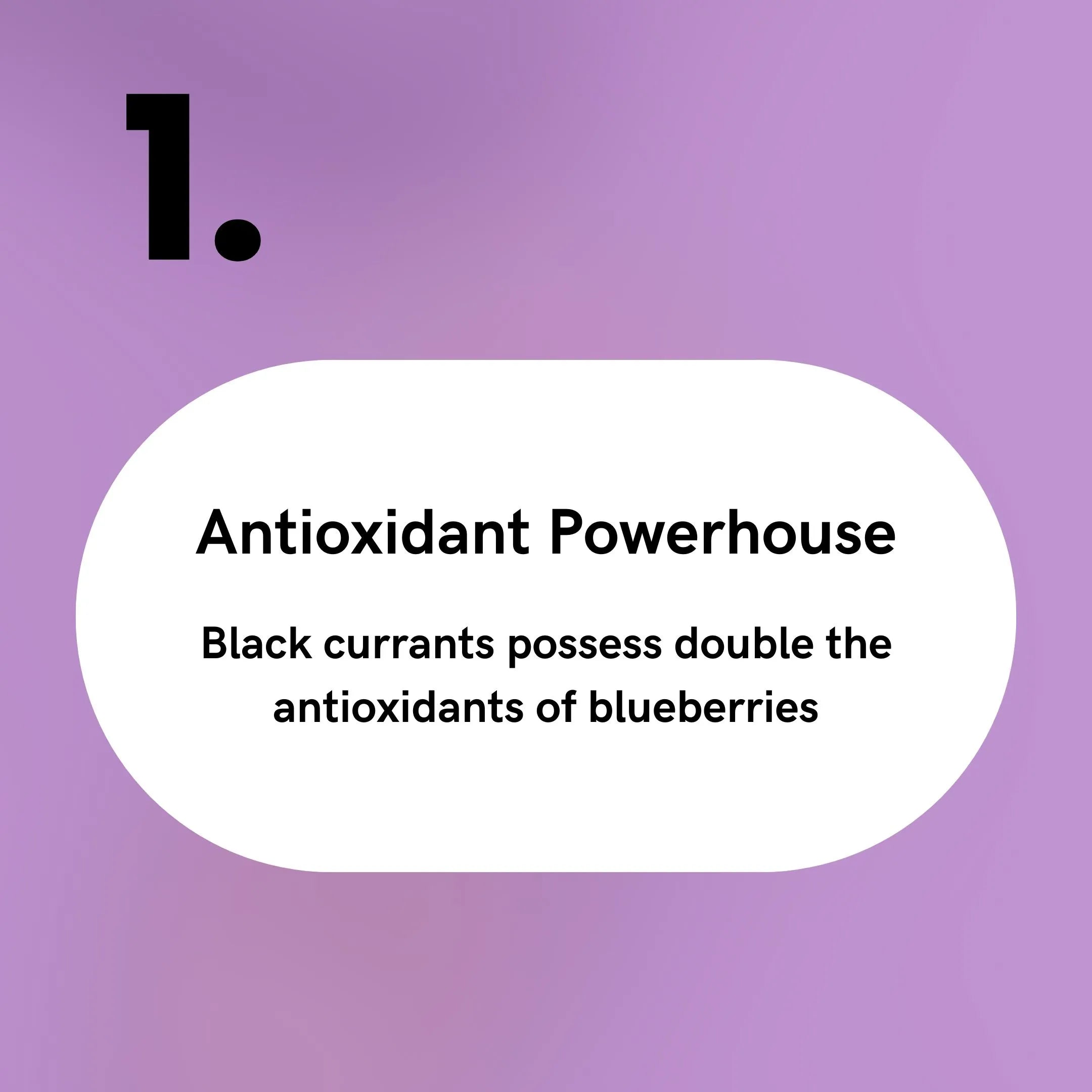 Black Currant - Antioxidant Powerhouse