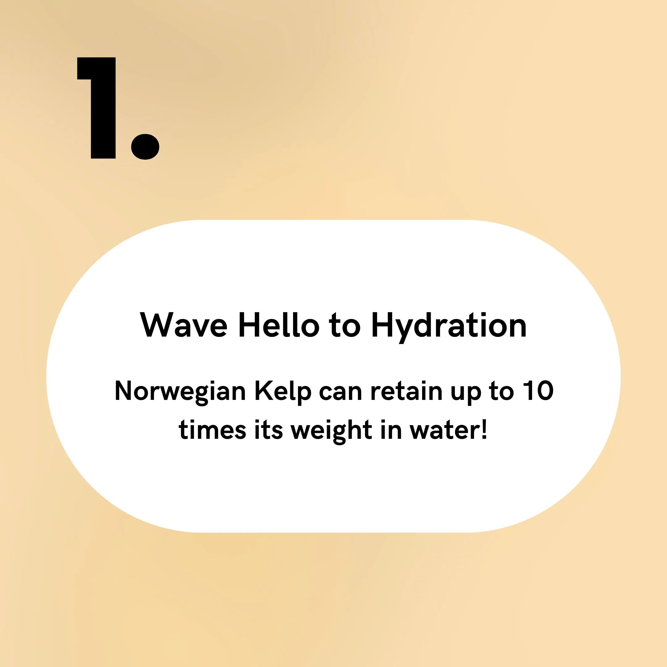 Norwegian Kelp - Wave Hello to Hydration