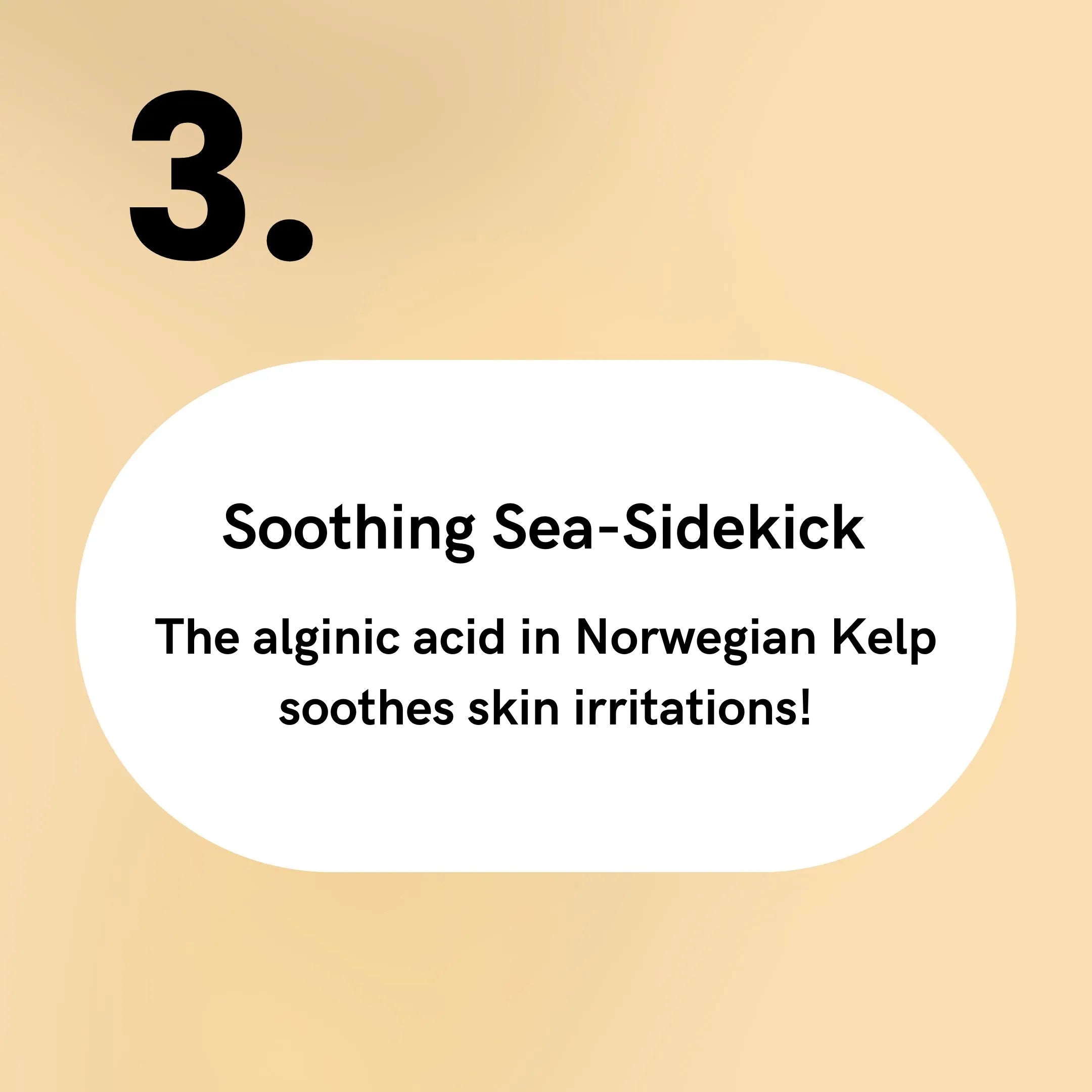 Norwegian Kelp - Soothing Sea-Sidekick