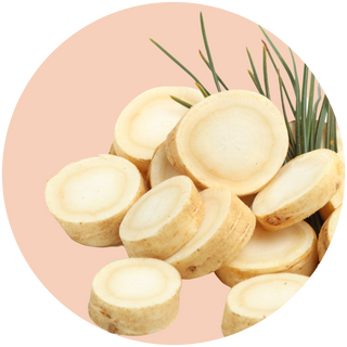 Ginseng