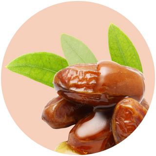 Jojoba